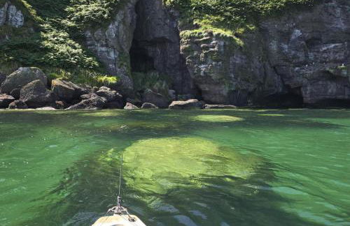 3 Bed in Kirkcolm oc-b34009 - Foto 35