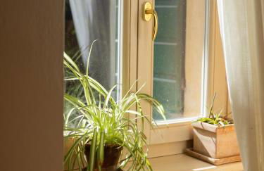 Corte L'Ovo - Historic Country House 15 min from the heart of Verona - Foto 35