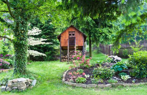 Agroturystyka Wzgórze Magnolii - Foto 29