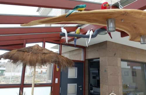 Designer Haus mit beheiztem Pool (überdacht) - Foto 7