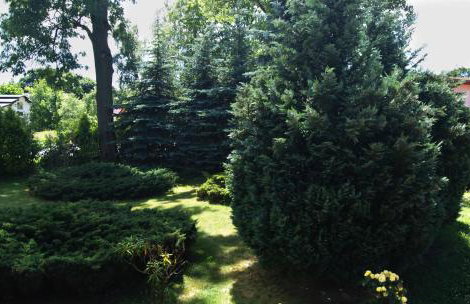 Agroturystyka Natalia - Foto 12