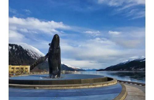 Breathtaking Ocean, Mountain & Juneau Views - Foto 40