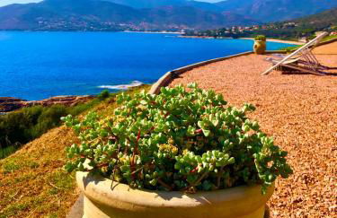 L'armandulina - Foto 9