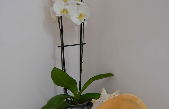 Gin and Jack Beach House - Foto 19