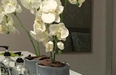 Flat Gramado Home Sweet Home - Foto 19