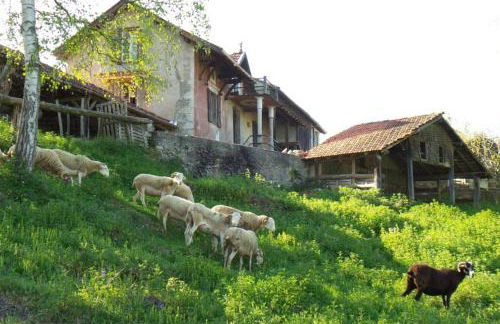 Faites le plein de nature ! - Foto 7