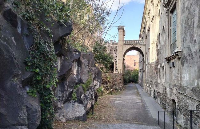 Visite à la découverte de l'Etna à Catane - Photo 3