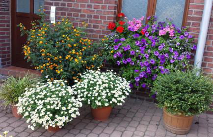 Ferienwohnung Pöttershof - Foto 10