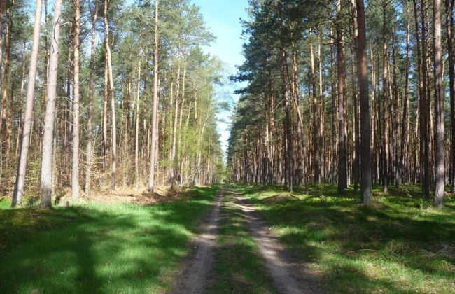 Nifty Apartment in Rövershagen near Sea - Foto 36