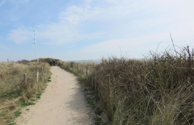 Sunny Zeeland Getaway - Photo 31