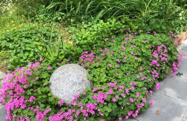 In Riva al Lago di Iseo Residenza Primo Piano - Foto 22