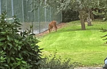 Lake View - Photo 29