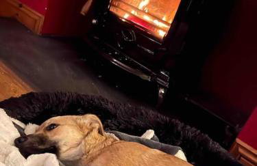 Beautiful Barn Conversion in West Wales - Foto 31