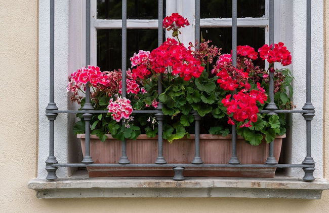 Mansion in Ovada With Pool and Scenic Hills - Foto 30