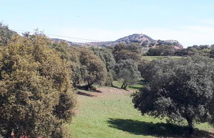 VILLA MARIA - Foto 4