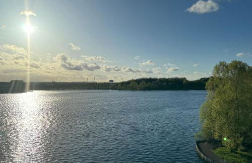 Lakeside Penthouse View - Photo 3