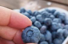 Quinta Vale Salgueiro - Foto 47