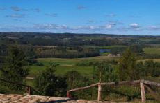 Zielona Dolina - Foto 47