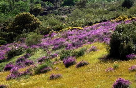Casa Rural Miel y Romero - Foto 31