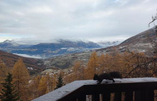 Les écureuils du Méale - Photo 6