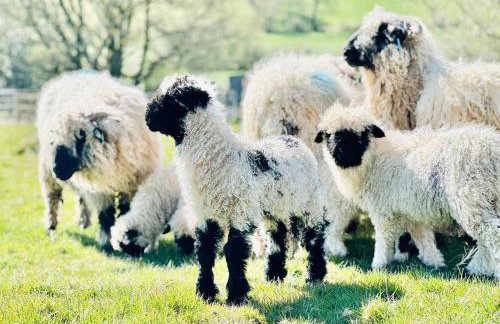 Parlour Barn - Photo 65