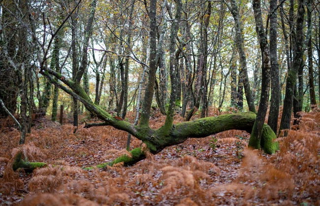 Enoturismo María Manuela - Photo 48