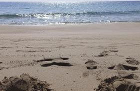 Ferienhaus am Ionischem Meer - Foto 47