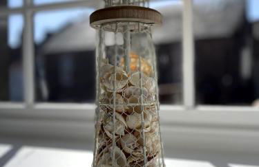 Rose Wynd Cottage-Close to beach - Foto 29