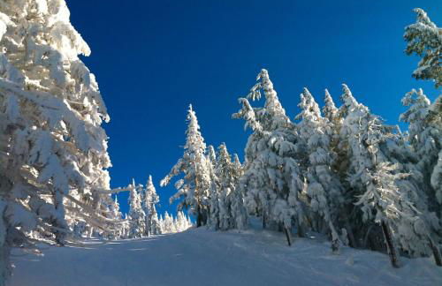Bluebird Day - Cinder Cone Bungalow - Foto 26