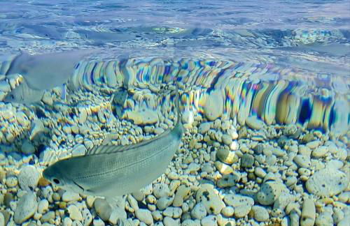 Mare Fuori - Foto 41