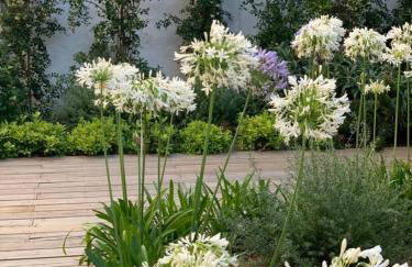 Charming design apartment with garden in Moita - Foto 13