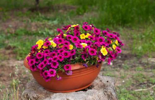 Villa Alex - Foto 61