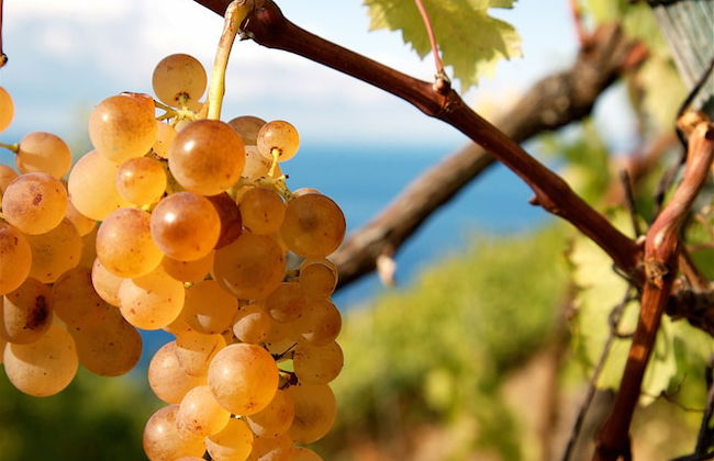 Il BoMa Affittacamere - Foto 37