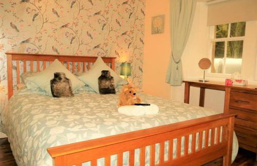 Ardwell House East Lodge - Photo 8