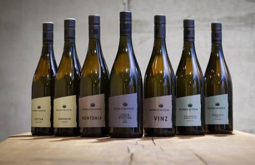 Gästehaus im Weingut am Stein - Foto 22