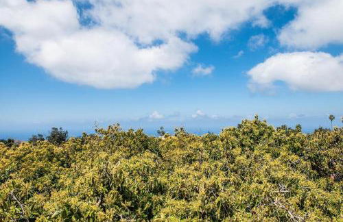 Finca rural House Tenerife Relax And Enjoy - Foto 75