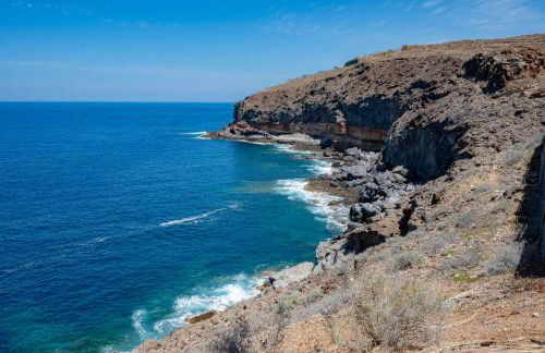 Seagulls melody C-209 - Foto 22