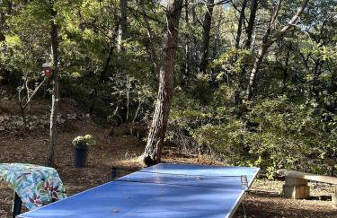 Les Ribas villa groupe, de 4 a 14 personnes, maison familiale, séjour nature, calme, Provence, Plaine des Maures, proche mer, Verdon, randonnée, terrain arboré, jeux enfants, pétanque, ping-pong, cuisine équipée, grande capacité, vacances en groupe - Foto 27
