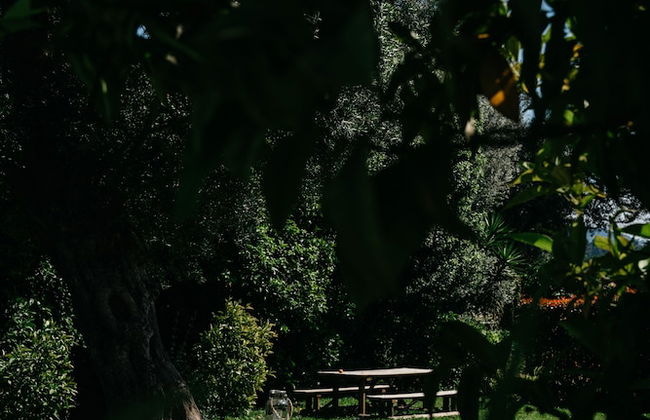 Casa Lata - Wine & Tourism - Photo 64