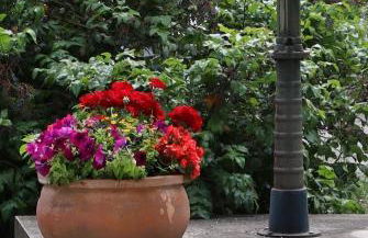 Ferienwohnung Weitblick Himmel - Foto 9