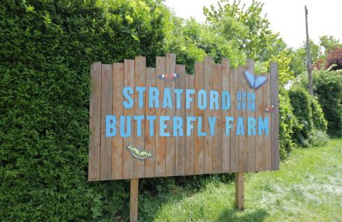 Church View - Foto 40