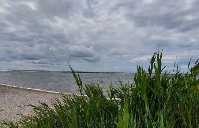 4 Star Holiday Home in Gotlands Tofta-by Traum - Foto 19