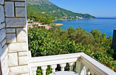 ĆOSIĆ APARTMANI IGRANE - Photo 20