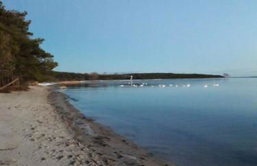 Ferienwohnung Garz - Foto 22