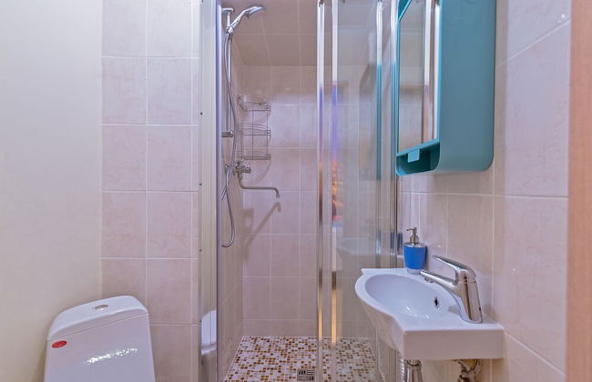 ColorSpb ApartHotel New Holland - Foto 44