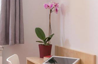 Apartment Taja - Foto 10