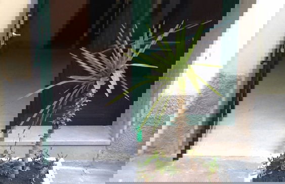 B&B Le Stanze del Sogno - Foto 25