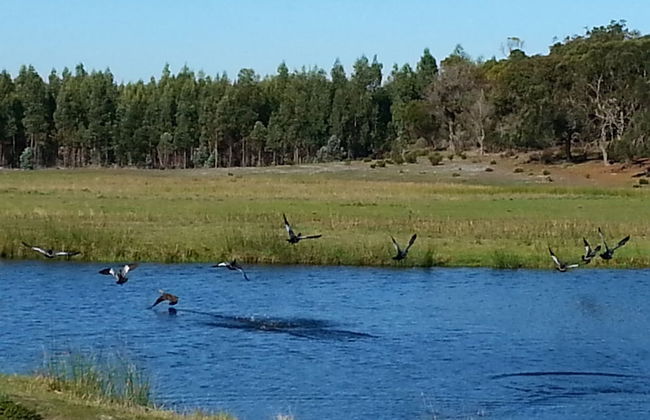 Nutkin Lodge - Photo 76