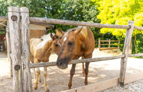 Agriturismo Colle Dei Pivi - Photo 54
