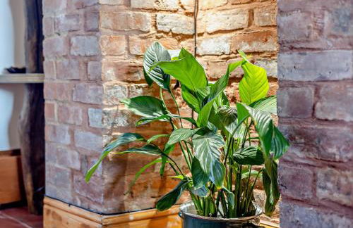 4 Bed in Bala 94665 - Photo 8